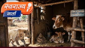 विटनेर परिसरात बिबट्याची दहशत; भरदिवसा गोठ्यात घुसून गायीच्या बछड्यावर हल्ला