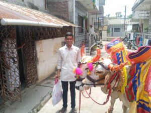 🐂 बैलांच्या सजावटीने अंतुर्ली सजले; कृतज्ञतेच्या भावनेने बैलपोळा उत्साहात साजरा!