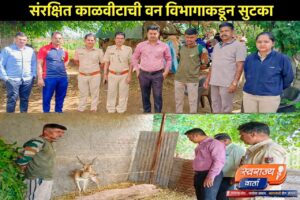 गौताळा अभयारण्य परिसरात खळबळ; वनमजुराच्या घरातच आढळले जिवंत काळवीट